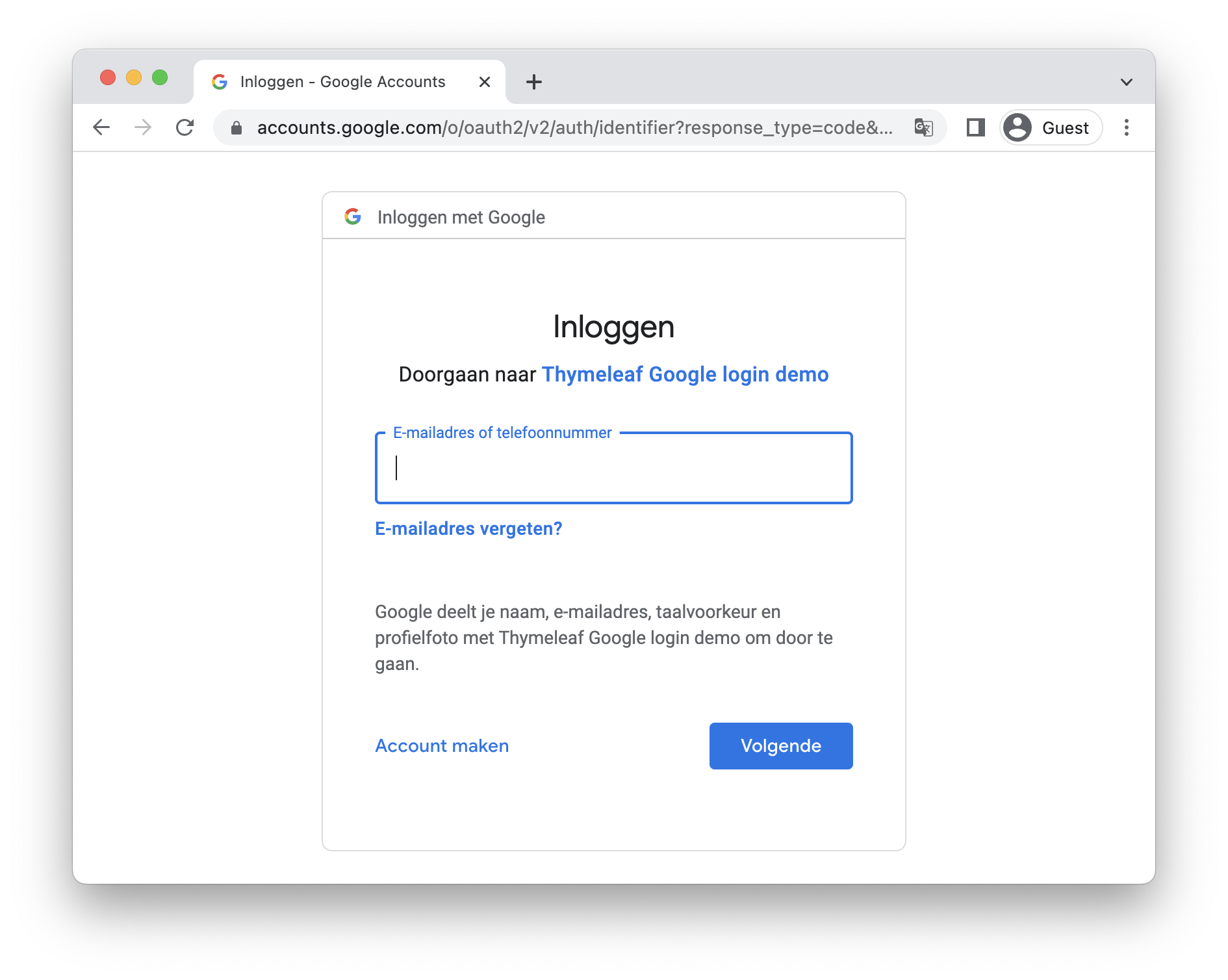 thymeleaf google login 2